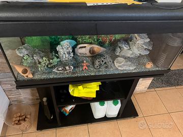 acquario completo