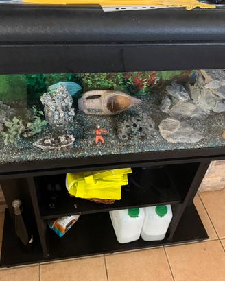 acquario completo