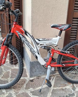 Bicicletta
