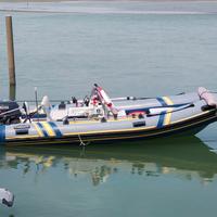 Gommone Marlin 480