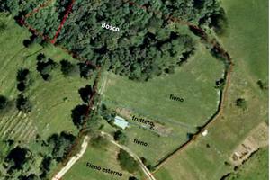 Terreno agricolo con frutteto e bosco