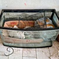 acquario vetro curvo 80 cm