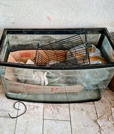 acquario vetro curvo 80 cm