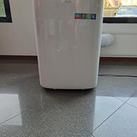 CONDIZIONATORE/PINGUINO/POMPA DI CALORE