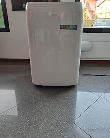 CONDIZIONATORE/PINGUINO/POMPA DI CALORE