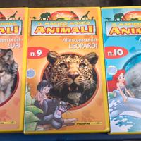 VHS Disney "il magico mondo degli animali"