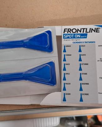 Frontline