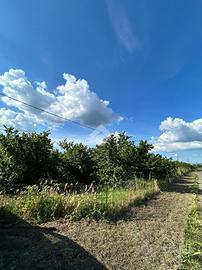TER. AGRICOLO A CORCHIANO