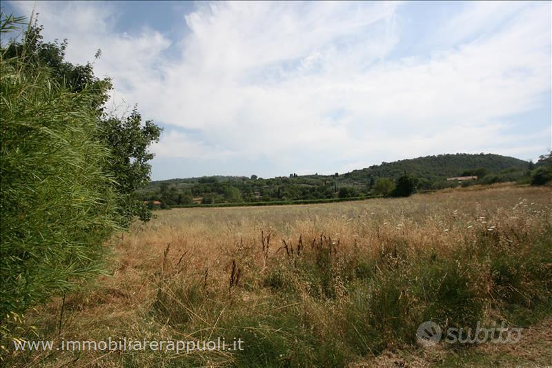 TR72 - Scrofiano terreno in posizione coll - Vista 4