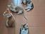 Immagine 1