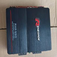 amplificatore renegade