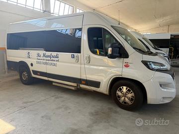 Fiat Ducato TRASPORTO DISABILI Tetto alto 12 posti