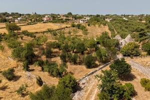 Terreno Edificabile - Martina Franca