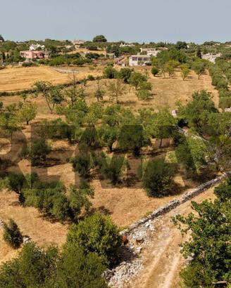 Terreno Edificabile - Martina Franca