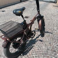 Fat bike