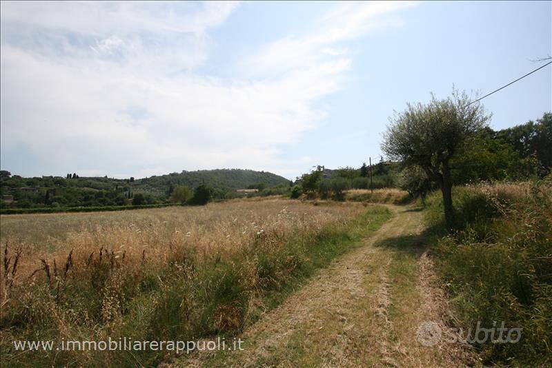 TR72 - Scrofiano terreno in posizione coll - Vista 5