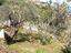 Immagine 26