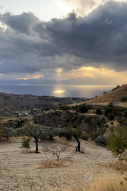 Terreno agricolo Collinare - 7090mq -Trattabile