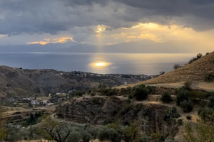 Terreno agricolo Collinare - 7090mq -Trattabile