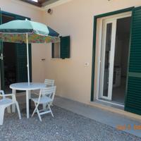 Gioellino nelle campagne di Portoferraio