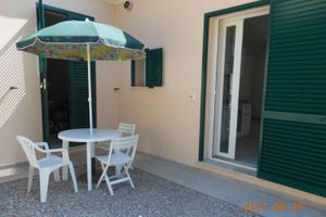 Gioellino nelle campagne di Portoferraio