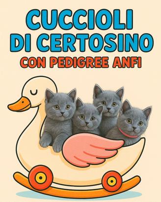 Cuccioli di certosino 