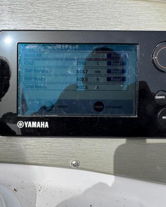 Yamaha 300 CV  Coppia  4,2