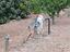Immagine 29