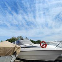 Gobbi 31 cabin