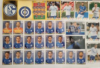 Panini Lotto Figurine Fifa 365 2021 Schalke 04
