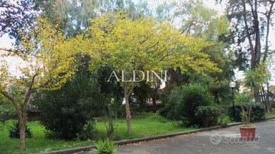 Ampio e luminoso quadrivani p.zza Risorgimento