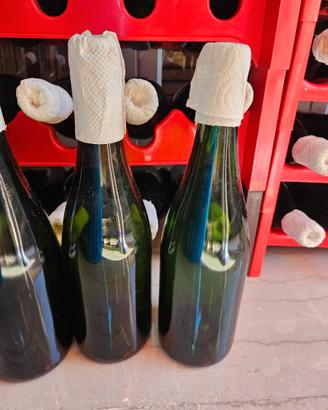 LOTTO 140+ BOTTIGLIE DI VETRO PER VINO SFUSO