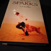 la scelta  ( libro di Sparks) 