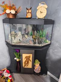 acquario angolare 