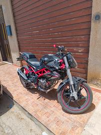 Benelli BN 125 anno 2021 per patente B o A1