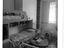 Immagine 8