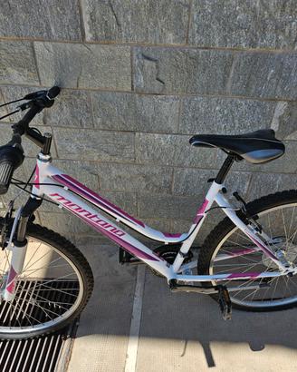 BICI MOUNTANBIKE