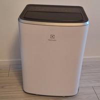 Climatizzatore Portatile Electrolux 