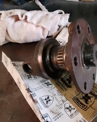 Semiasse anteriore Same