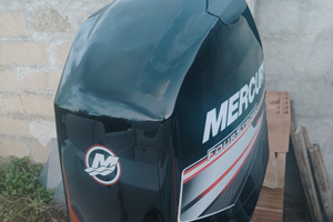 Motore Mercury EFI 115 anno 2009