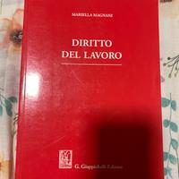 Libro universitario su Diritto del lavoro