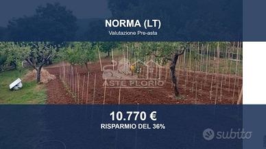 Immobile in asta di 5924 m² a Norma