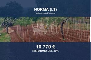 Immobile in asta di 5924 m² a Norma