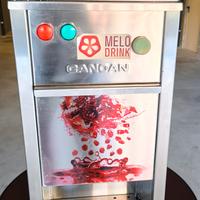 Spremiagrumi automatico professionale pressa