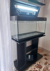 Acquario