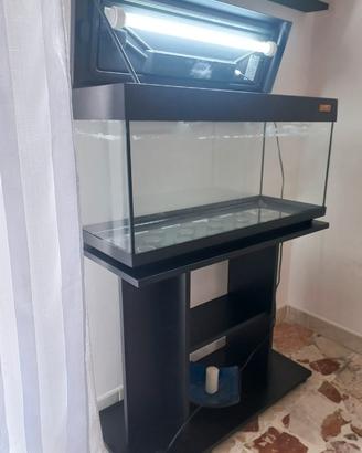 Acquario