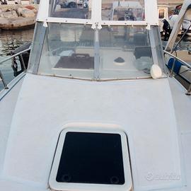 Motore nautico e scafo