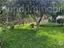 Immagine 23