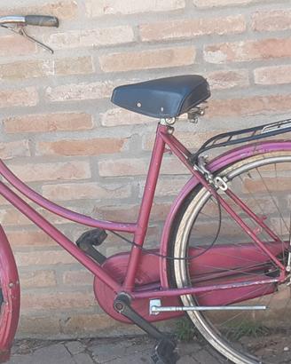 bici donna ruota 26 economiche