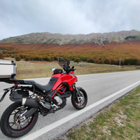 Multistrada 950S